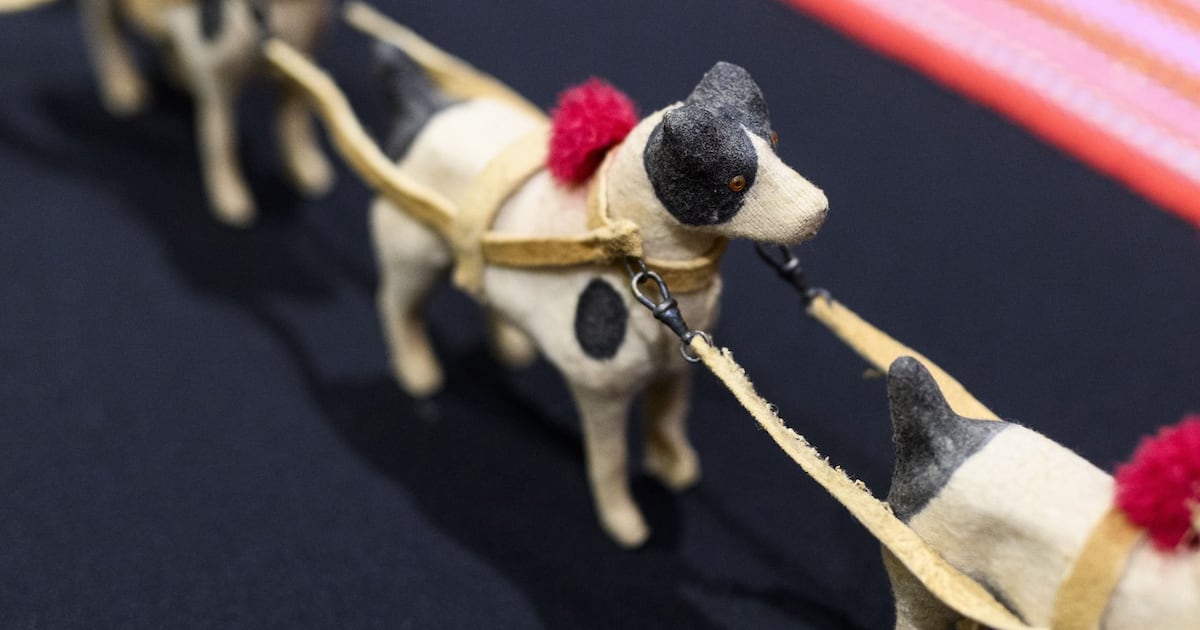 Hunting Dog Metis Métis model dog sled repatriated from Vatican unveiled