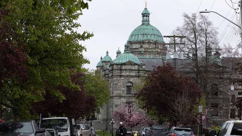 Elections BC says no deliberate violations in 2024 Surrey-Guildford vote