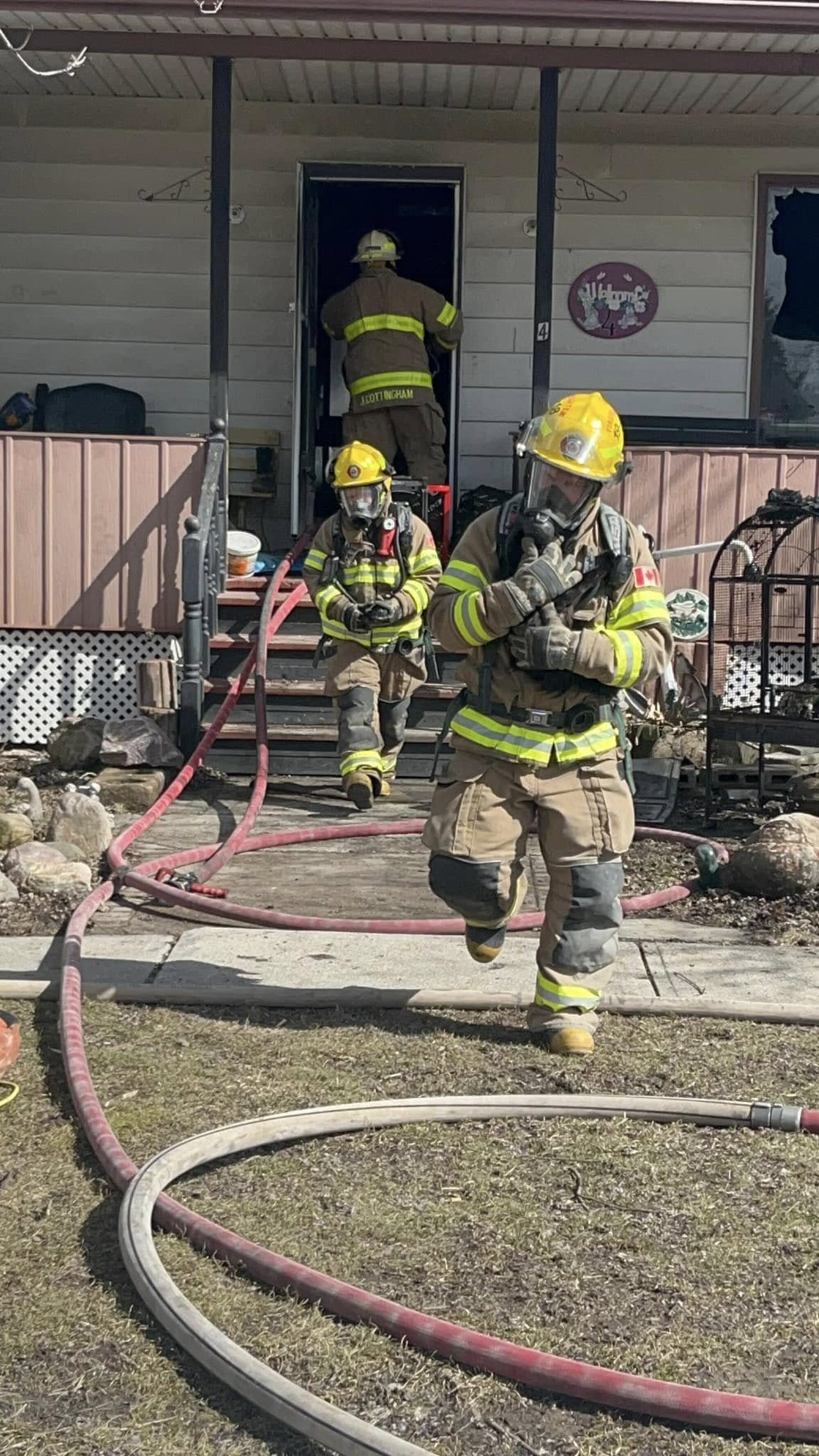 Firefighters rescue cats in house fire – CTVNews