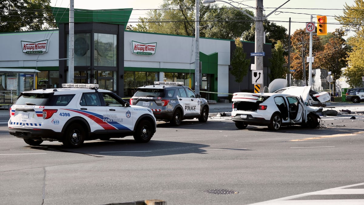 'Project Skyfall': Police north of Toronto arrest 17 suspects allegedly ...