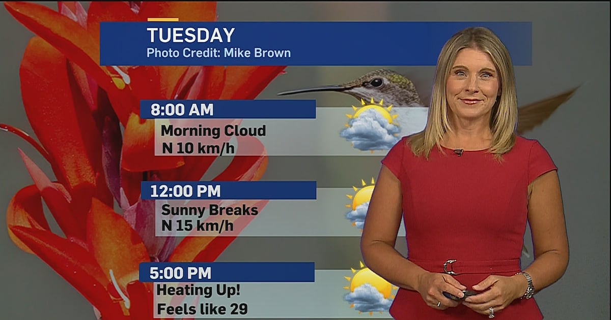 Sunshine and warmth finally returns to London, Ont. region