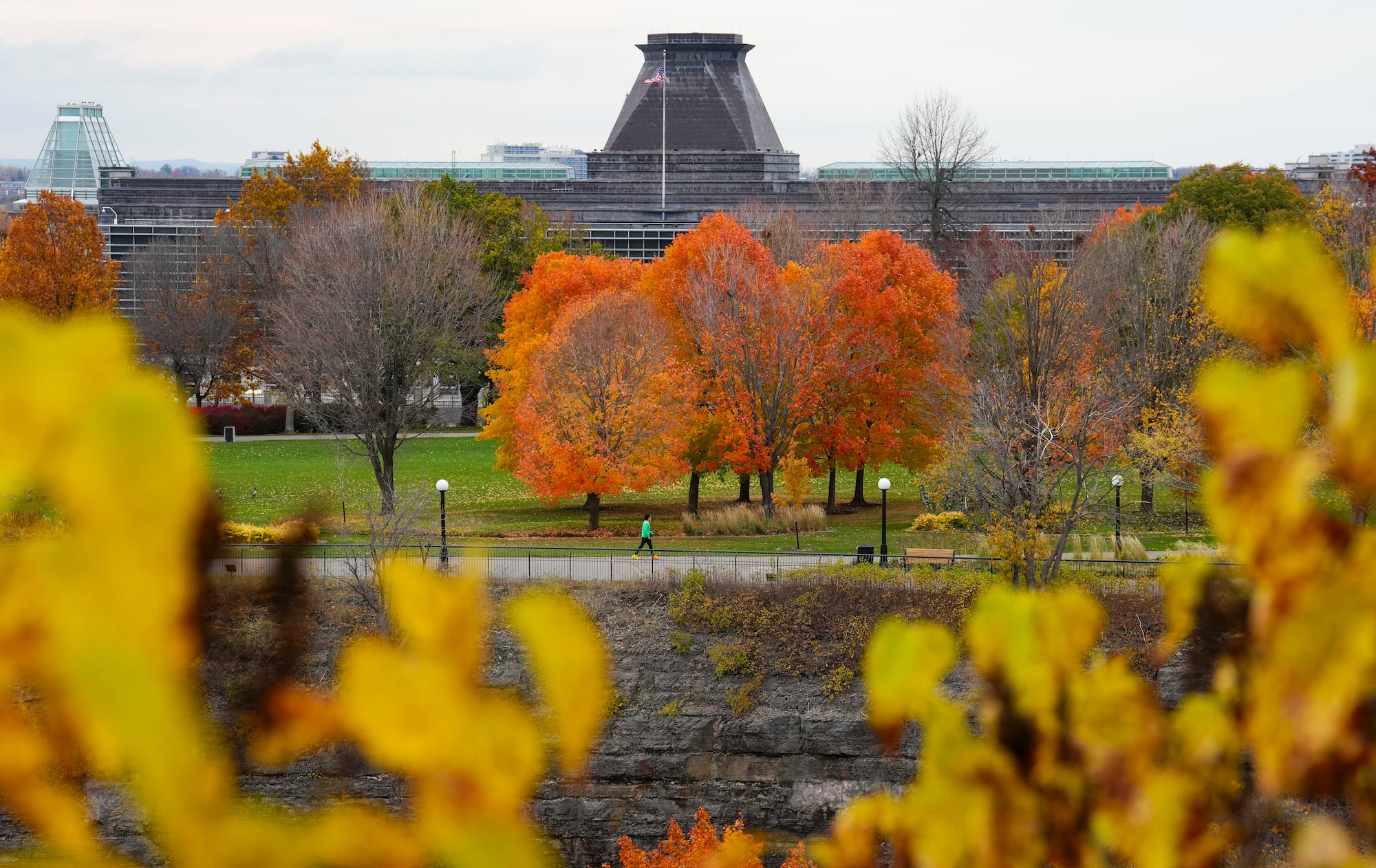 Fall colours popping in Ottawa area – CTVNews