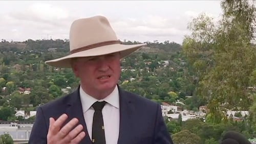 ‘Sit down!’ Australian politician berates dog on live TV