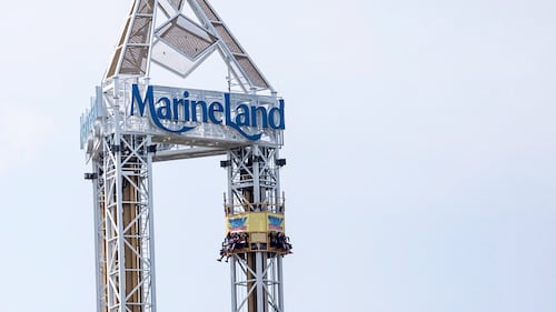 Marineland's bears on the move to sanctuary in Colorado