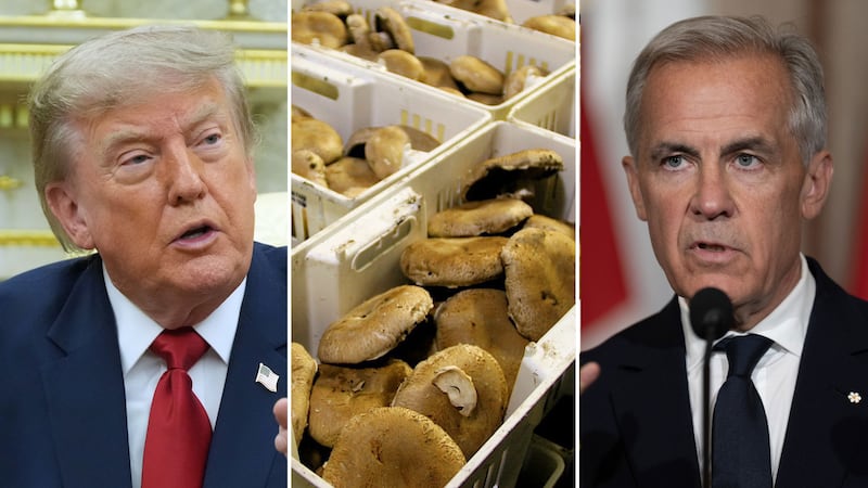 Canada to be hit with increased U.S. tariffs on fresh mushrooms