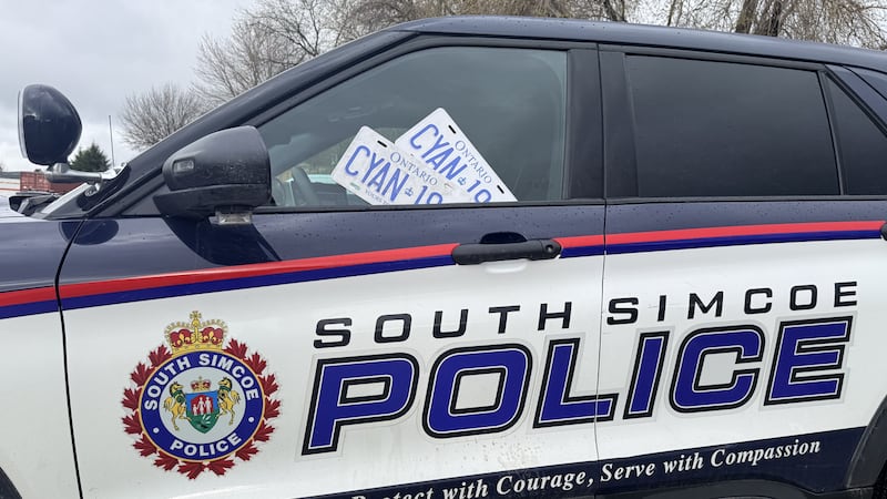 Replica licence plates spark chain of charges for Beaverton driver