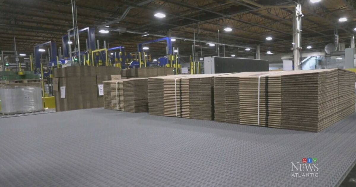 Ns Paper Color NS paper facility unveils new printing press – CTVNews