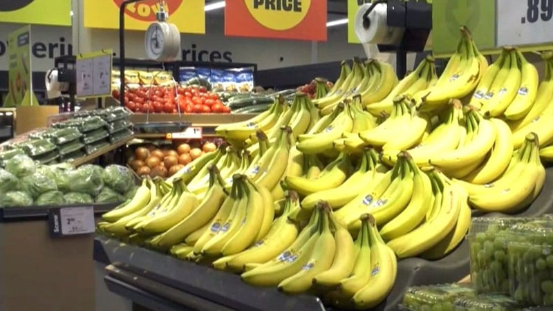 Canadians to receive one-time groceries benefit June 5