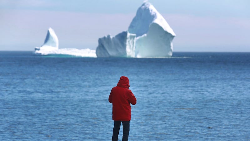 Big icebergs bring big business to Newfoundland’s tourism industry