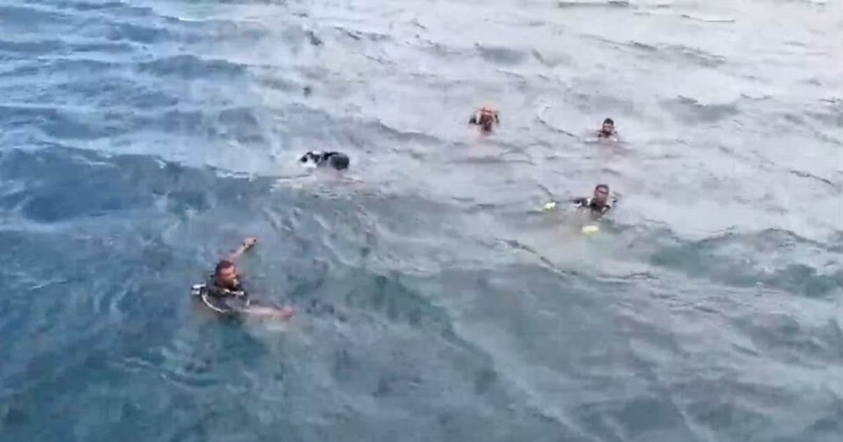 Bodies of two Italian divers recovered in the Maldives – CTVNews
