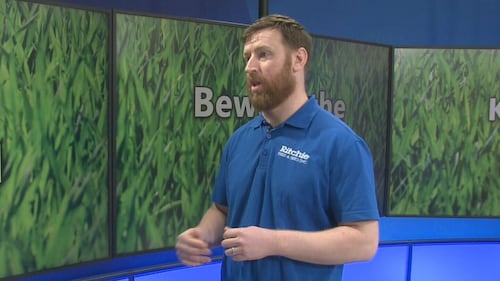 Yard Week: Keep your lawn healthy!