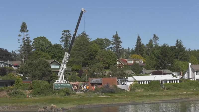 Comox Harbour sewage leak: Water quality monitoring continues following spill