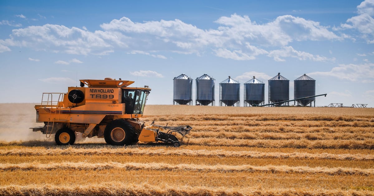 Diesel prices soar, raising the alarm for farmers as harvest approaches - CTV News