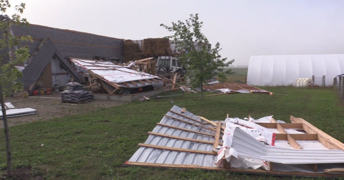 EF1 tornado confirmed near Monkton after severe storm - CTV News