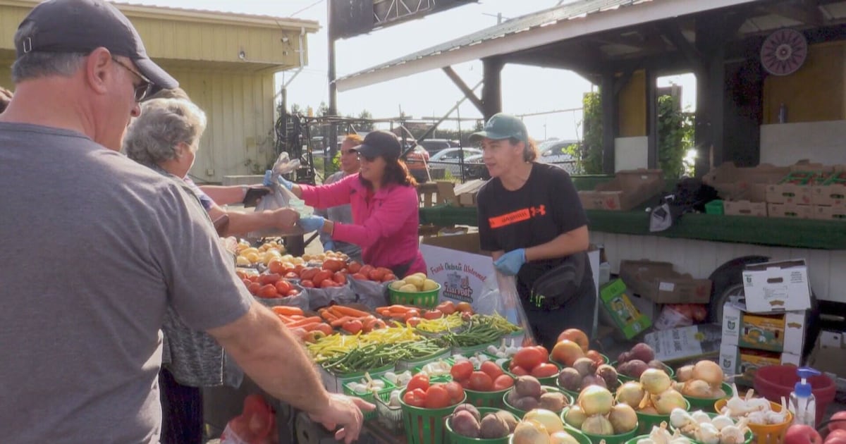 Trails End Market reopens as outdoor market - CTV News