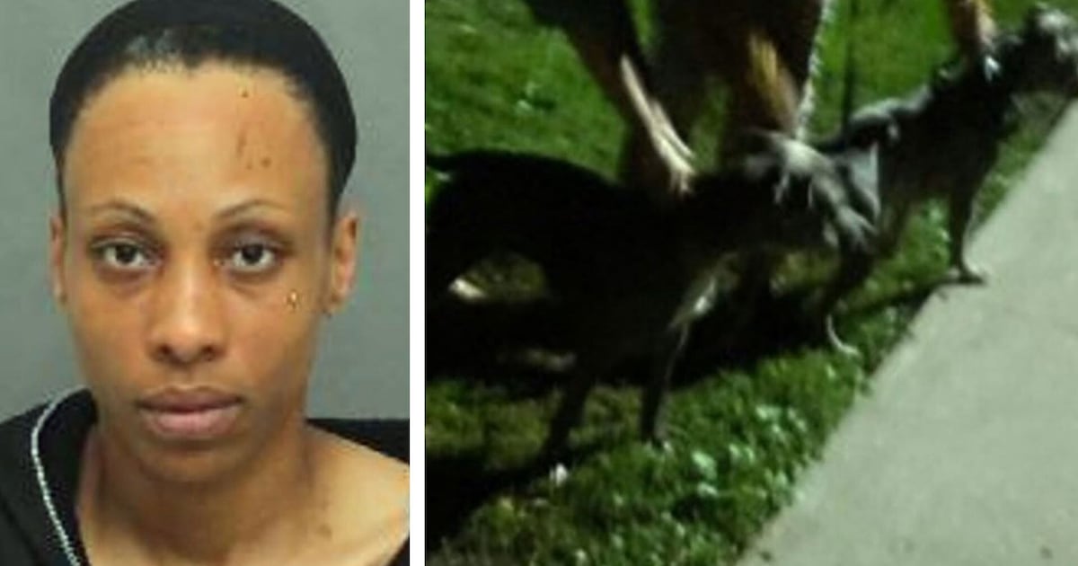 Suspect wanted after dog attack in Summerhill - CTV News