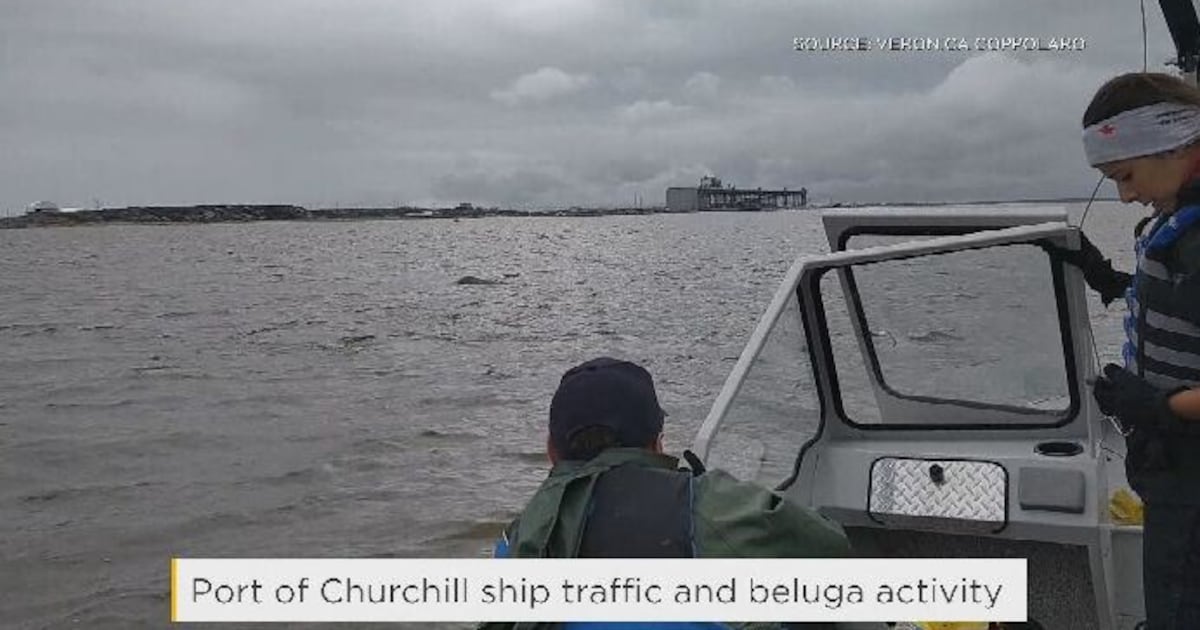 New study into Port of Churchill expansion - CTV News