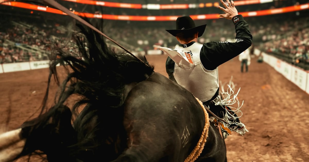 Countdown to Canadian Finals Rodeo starts - CTV News