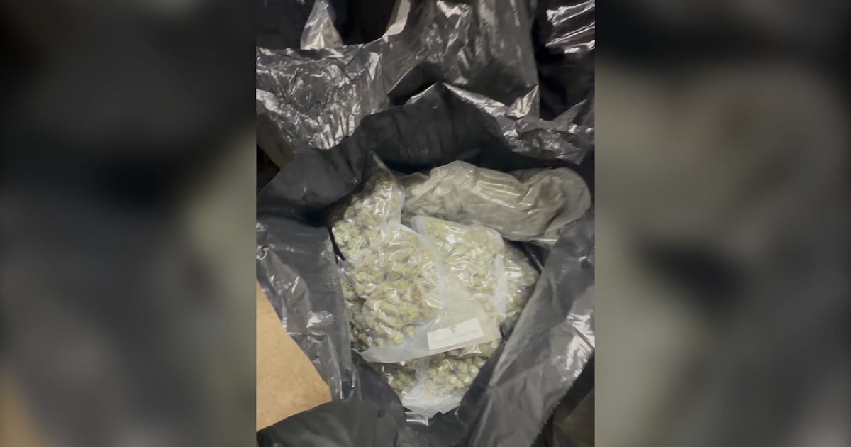 Massive cannabis seizure made during Highway 1 traffic stop - CTV News