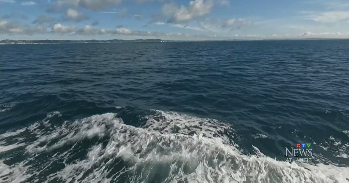 El Nino could have big impacts in the Maritimes - CTV News
