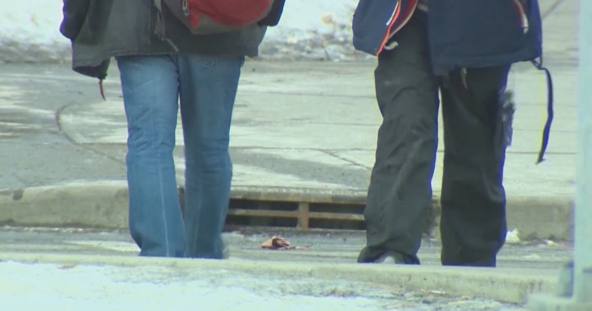 Report explores who is accessing supports - CTV News