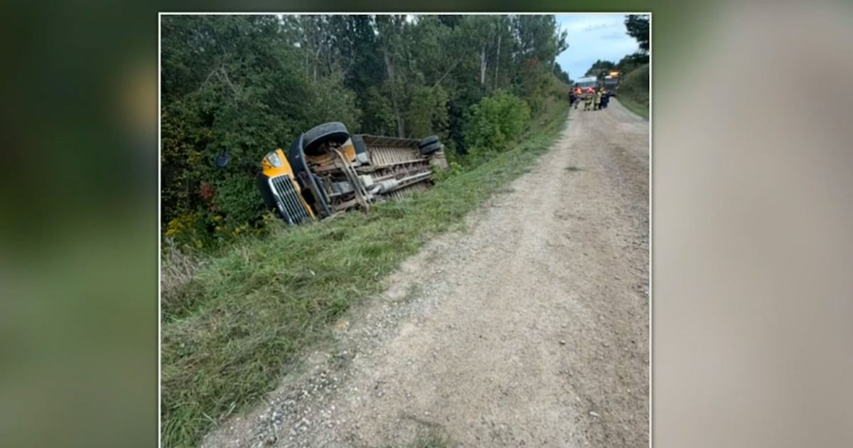 School bus rolls off the road - CTV News