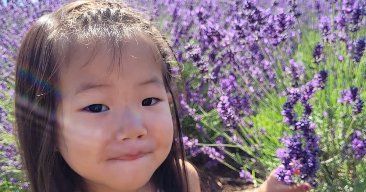 Charges laid in hit-and-run that killed girl - CTV News