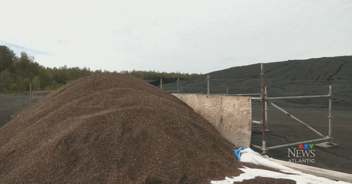 NB Power secures wood pellet supply deal - CTV News