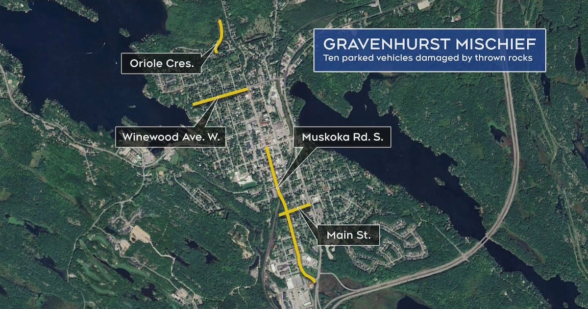 Police charge 3 teens involved in series of mischief incidents - CTV News