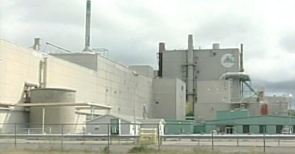 N.B. pulp mill temporarily closing operations - CTV News
