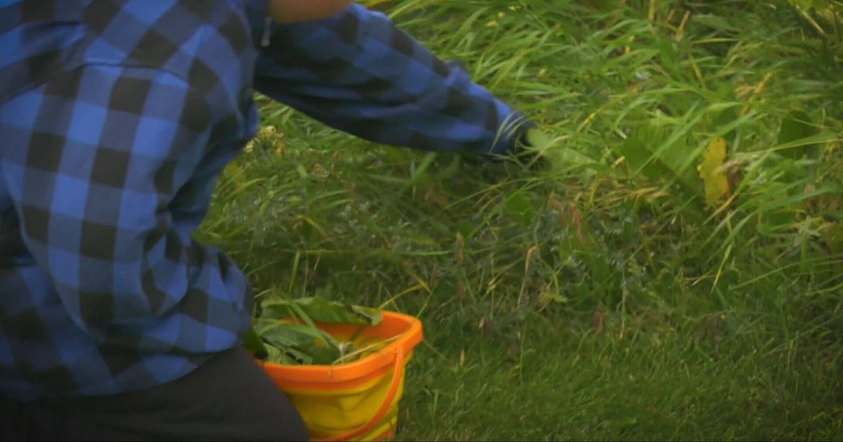 A passion for helping others - CTV News