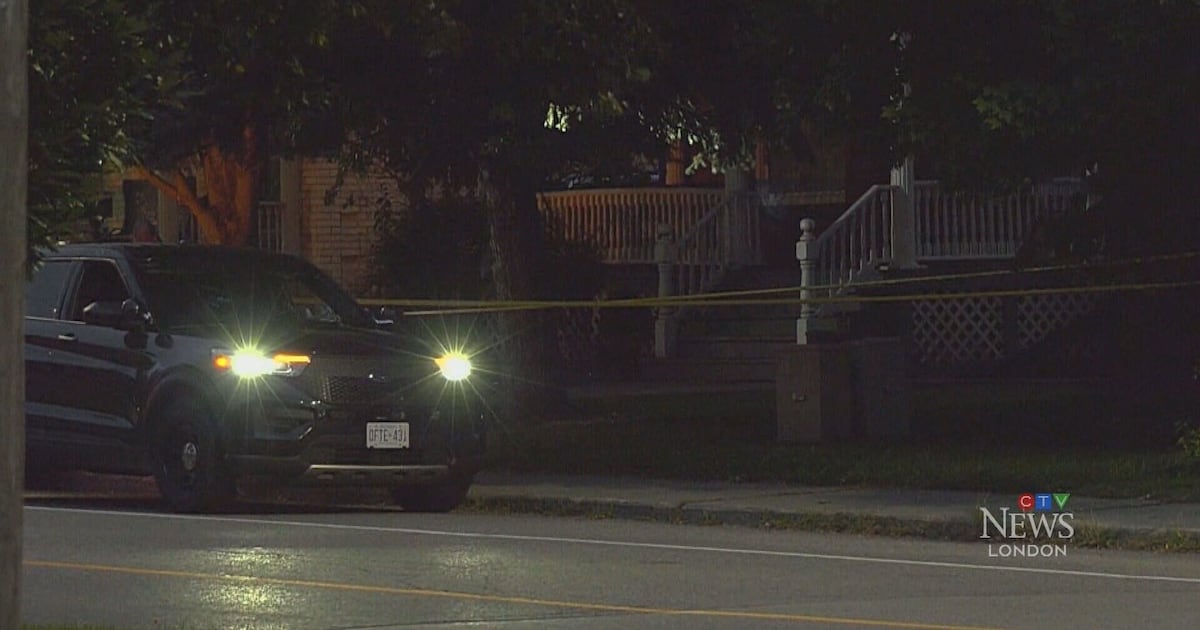 London man charged after Woodstock sexual assault - CTV News