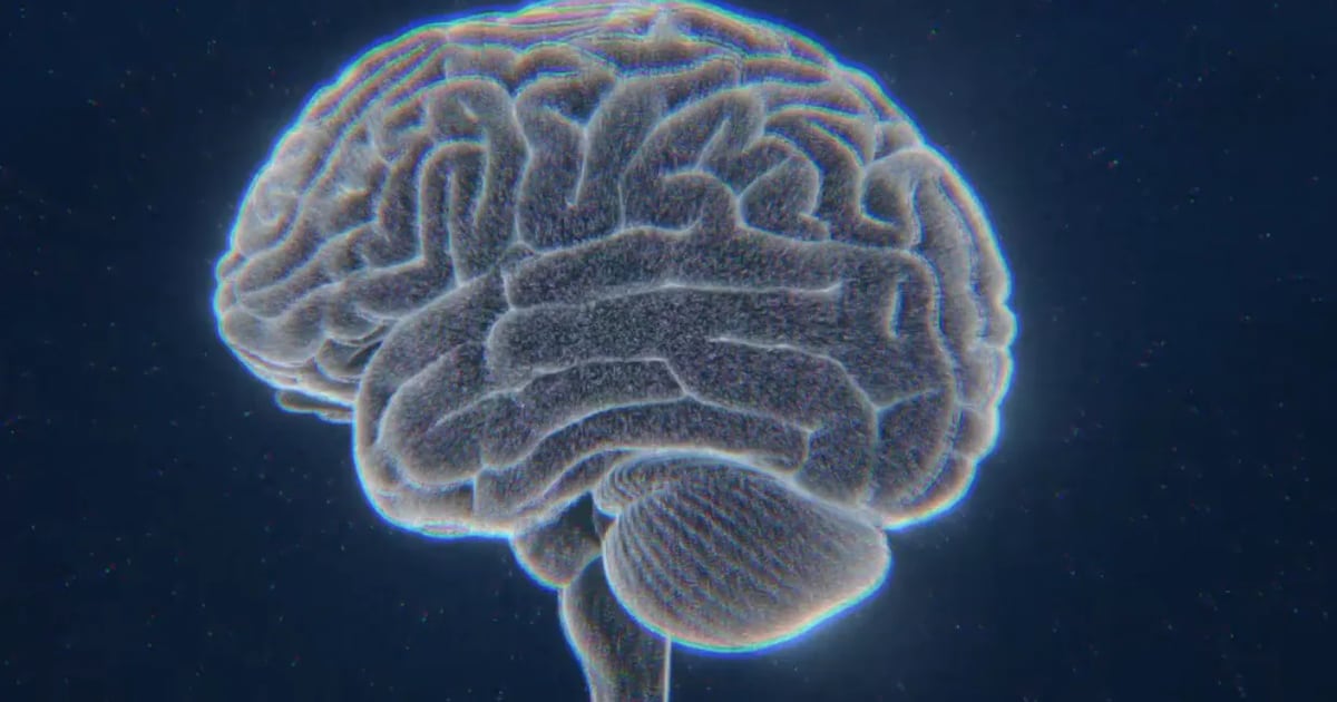 Making progress in brain research requires a little heart - CTV News