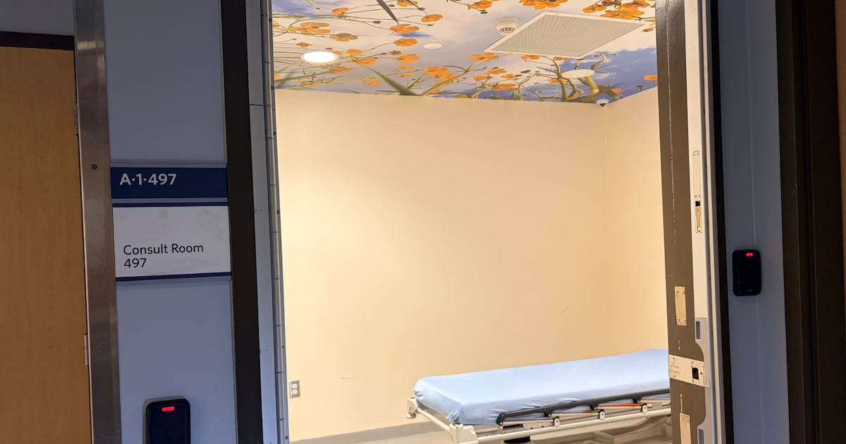 Cambridge hospital adds new safe room - CTV News