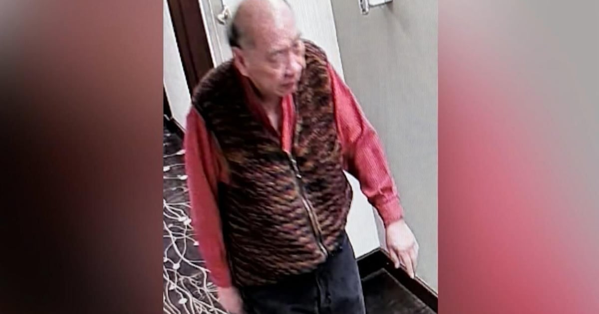 Police expand search for missing senior along Humber River - CTV News