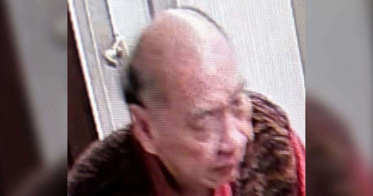 Police search for elderly man missing along the Humber River - CTV News