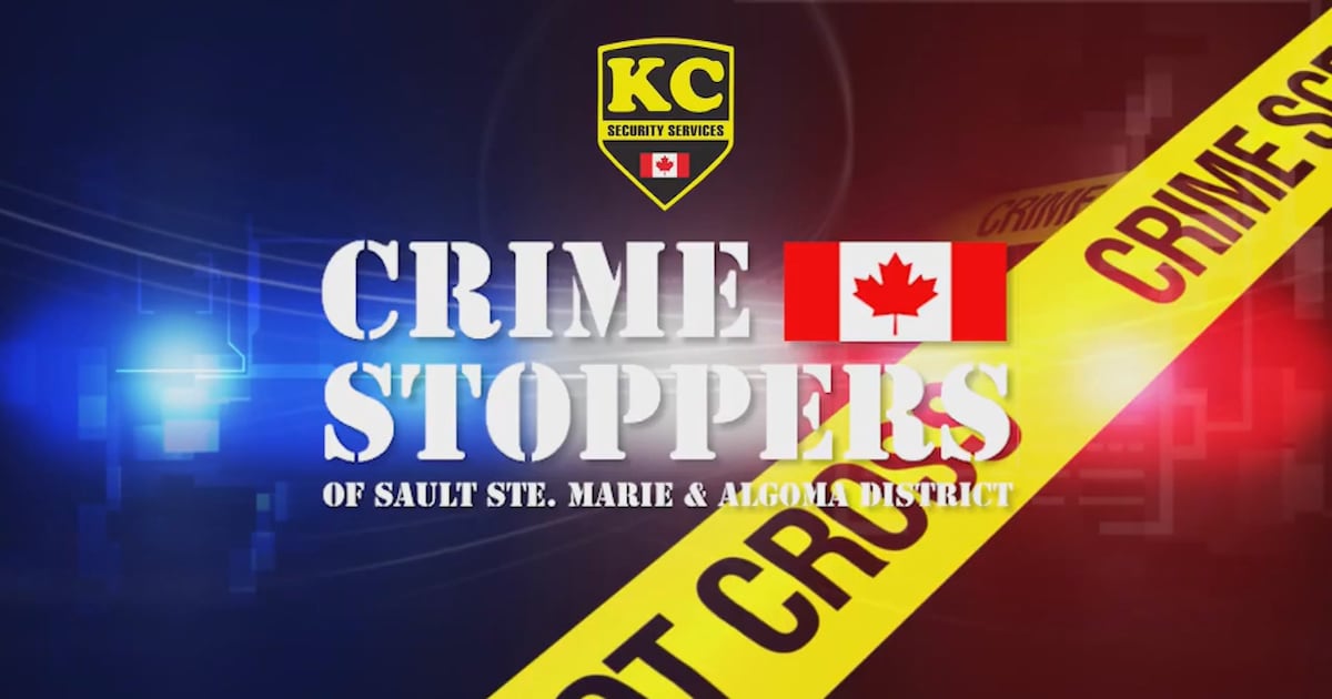 Help ID Sault Walmart theft suspect, Crime Stoppers asks - CTV News
