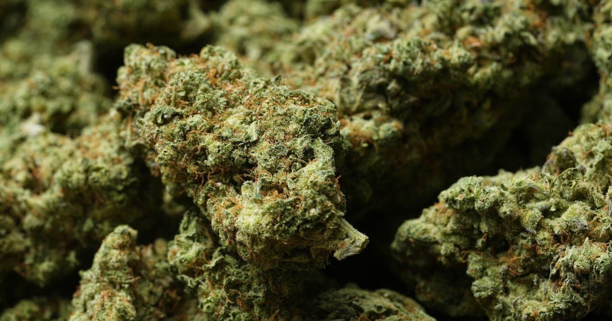 Nova Scotia sees uptick in cannabis sales - CTV News