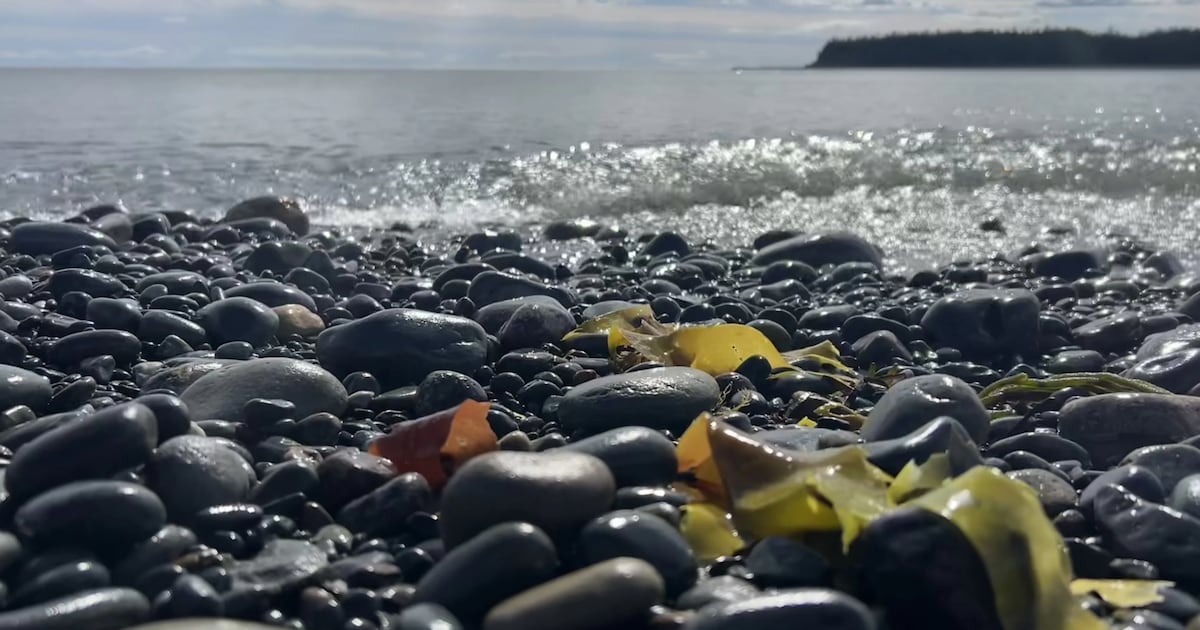 Quiet hurricane season so far - CTV News