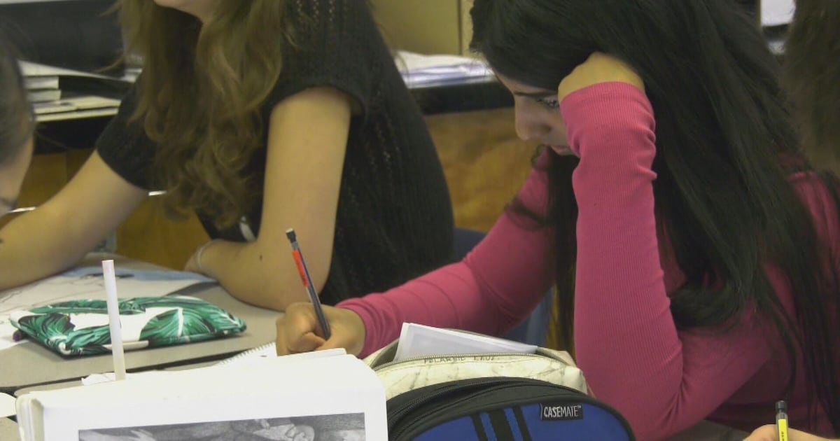 Alberta schools can begin testing new curriculums - CTV News
