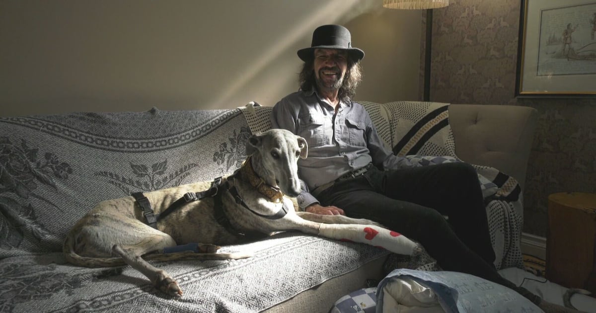 Regina greyhound home safe following lengthy adventure