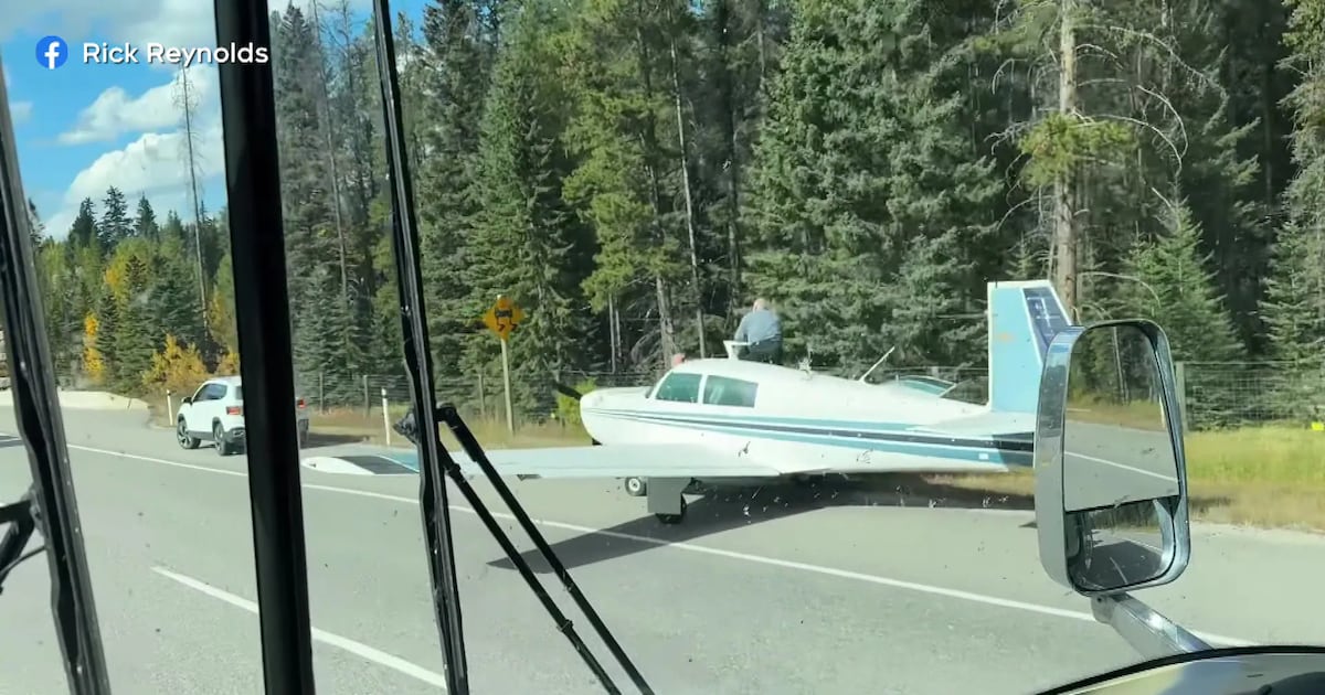 Plane lands on Trans-Canada Highway in Banff National Park - CTV News