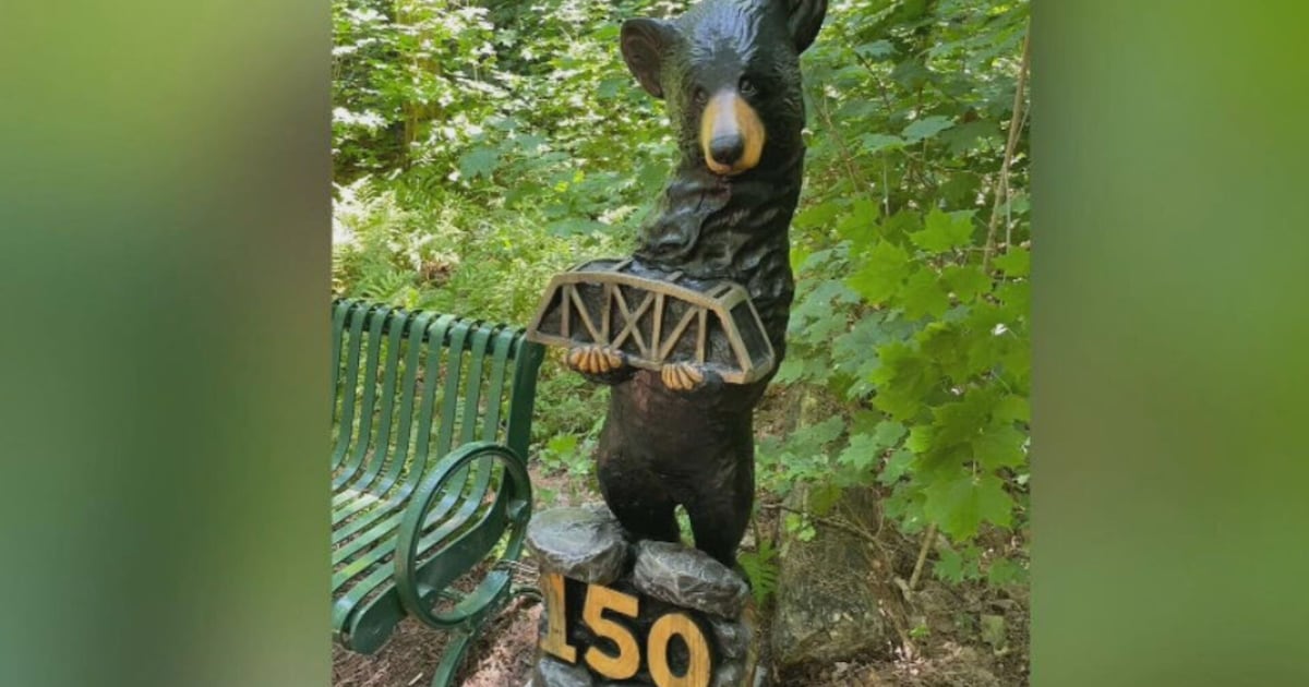 Bracebridge asks for the community's help to find Chester the Bear
