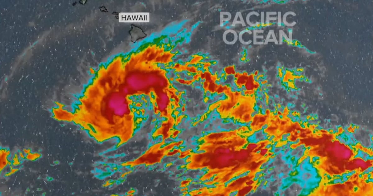 Flash floods, hurricanes and monsoon rains: Wild weather sweeps U.S. - CTV News