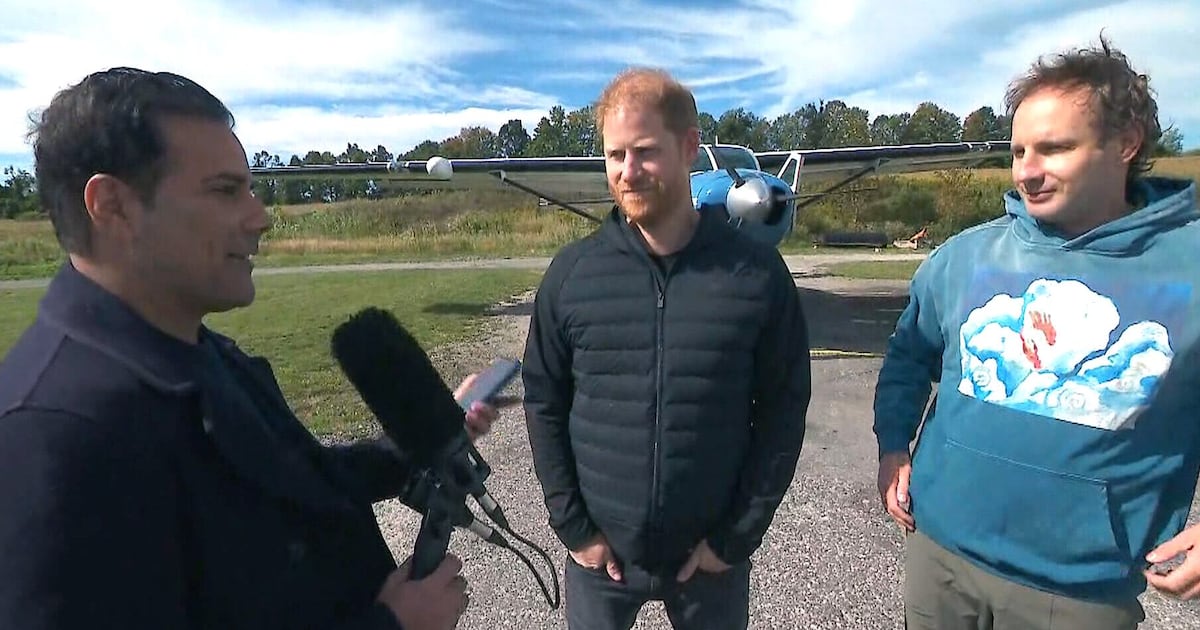 Prince Harry on skydiving for charity in Ontario - CTV News