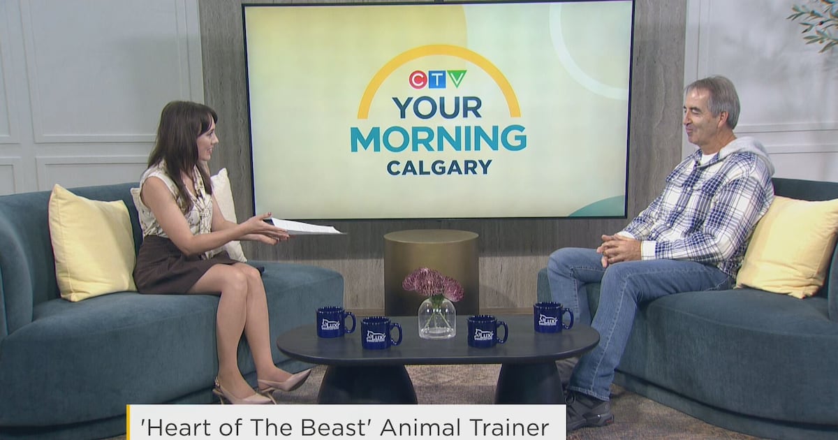 Alberta Animal Coordinator - CTV News