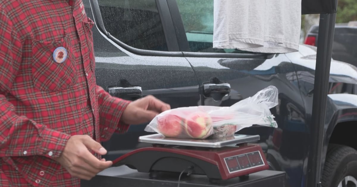 Local farms struggling with rising costs - CTV News