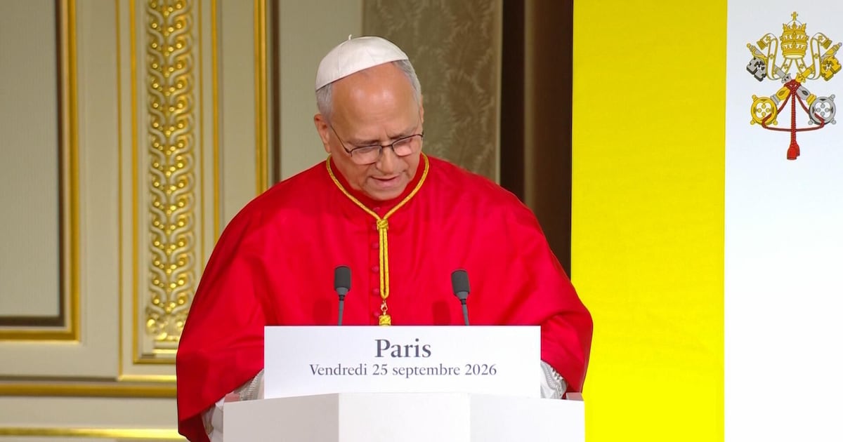 Pope Leo warns of losing humanity in rise of artificial intelligence - CTV News
