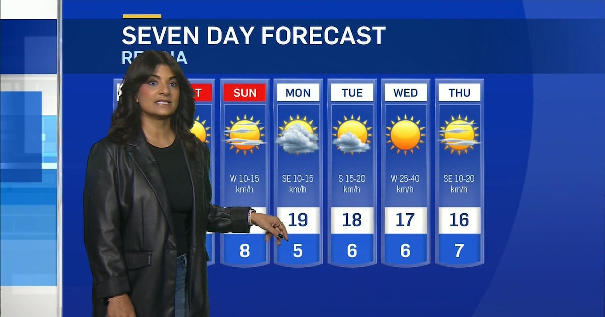 Sunny, warm and windy - CTV News