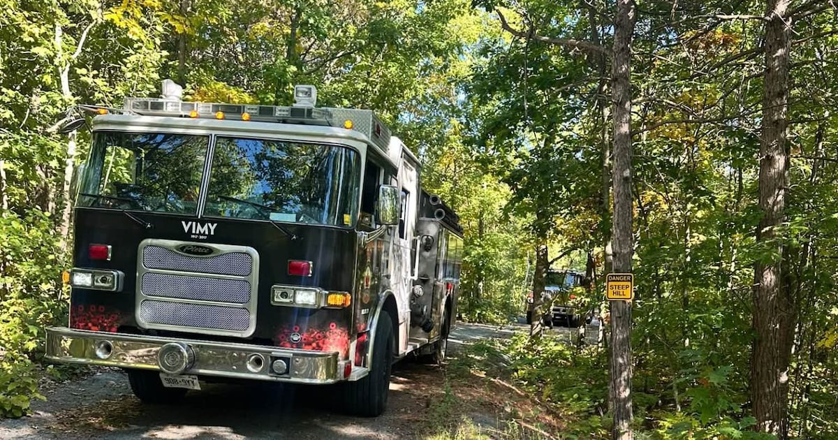 Cigarette butt sparks fire at Kivi Park lookout - CTV News